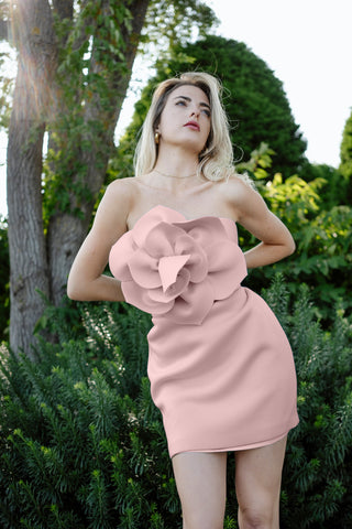 MC0140_The_Cecile_Blush_Mini_Dress_With_Flower_Lifestyle