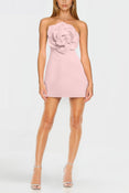 MC0140_The_Cecile_Blush_Mini_Dress_With_Flower_Front