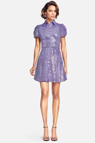 The Phoebe | Sequin Cocktail Dress