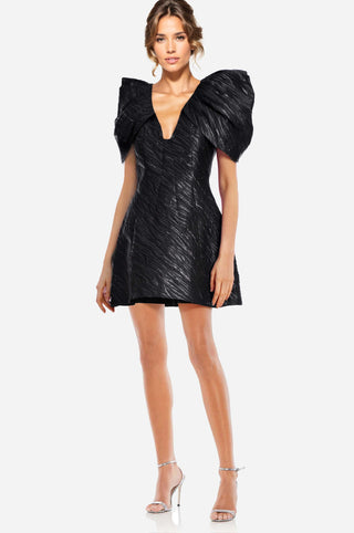 The Aime | Animal Jacquard Mini Dress